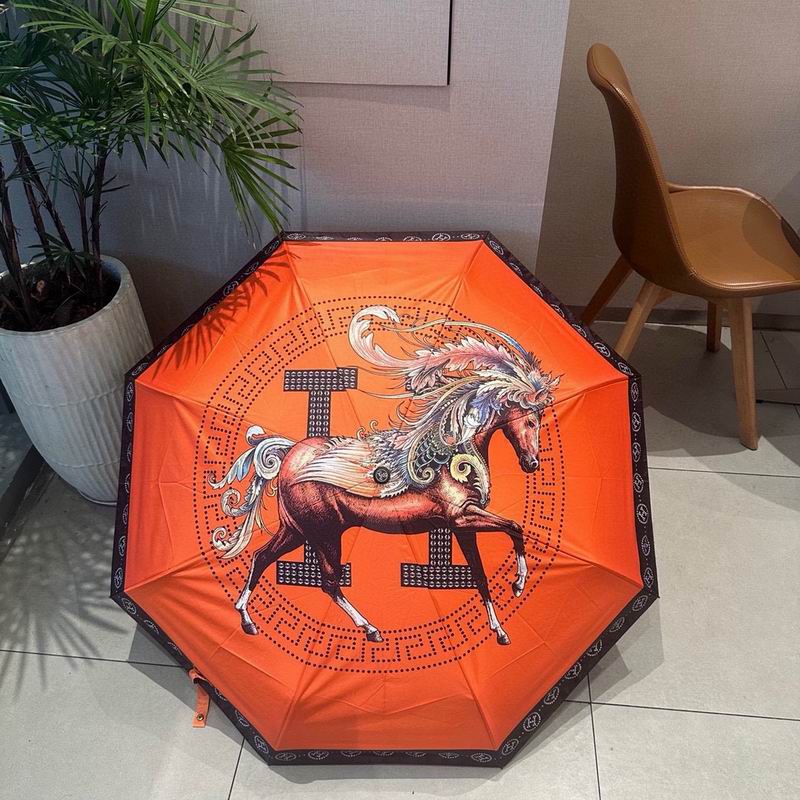 Hermes Umbrella (15)